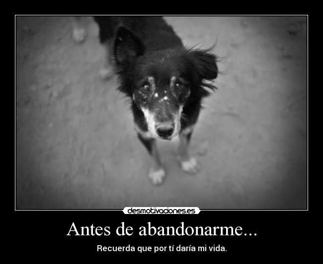 Antes de abandonarme... - Recuerda que por tí daría mi vida.