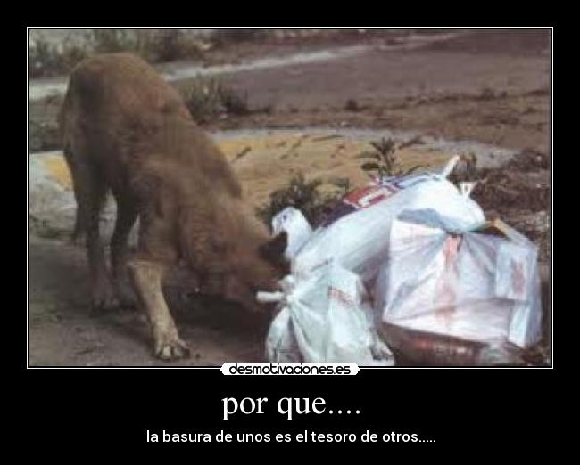 por que.... - 
