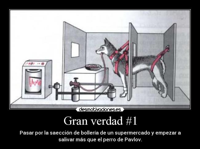 Gran verdad #1 - Pasar por la saección de bollería de un supermercado y empezar a
salivar más que el perro de Pavlov.