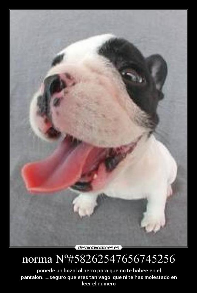 norma Nº#58262547656745256 -