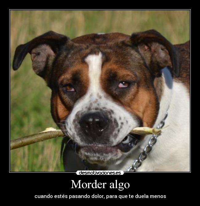 Morder algo - cuando estés pasando dolor, para que te duela menos