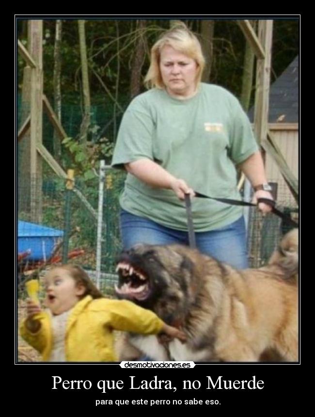 Perro que Ladra, no Muerde -