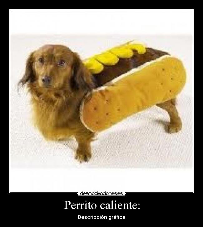 Perrito caliente: - 