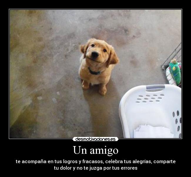 carteles amigo teyi16 elclanviral desmotivaciones