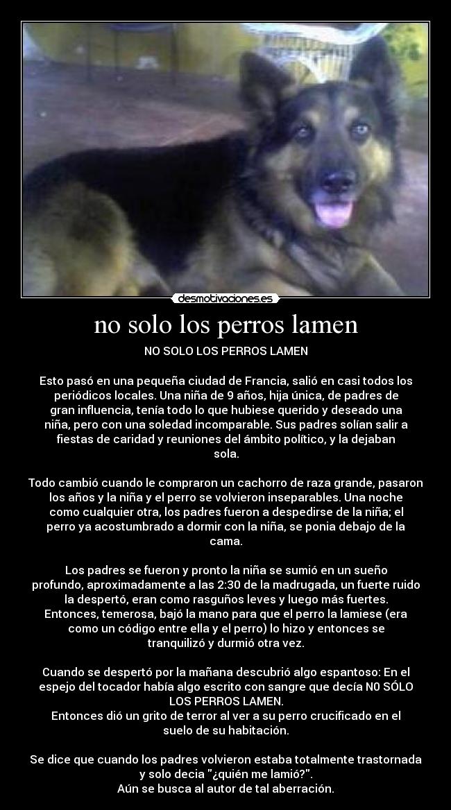 no solo los perros lamen - 