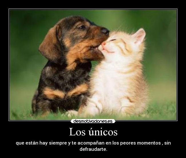 Los únicos - 