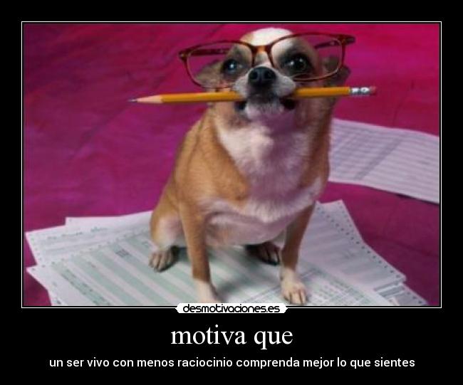 motiva que -