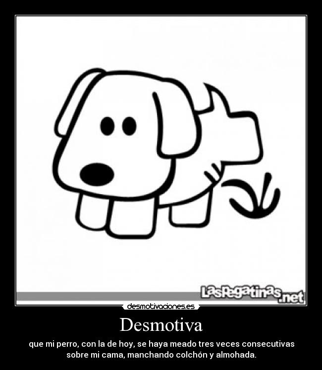 Desmotiva - que mi perro, con la de hoy, se haya meado tres veces consecutivas
sobre mi cama, manchando colchón y almohada.