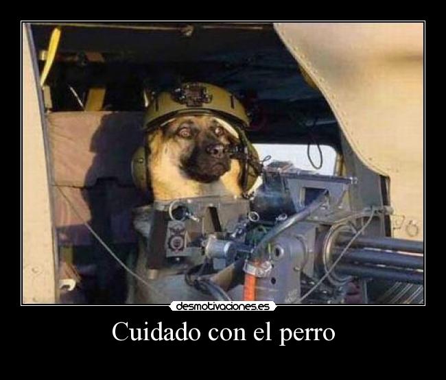 Cuidado con el perro -