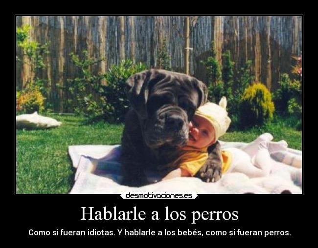 Hablarle a los perros - Como si fueran idiotas. Y hablarle a los bebés, como si fueran perros.