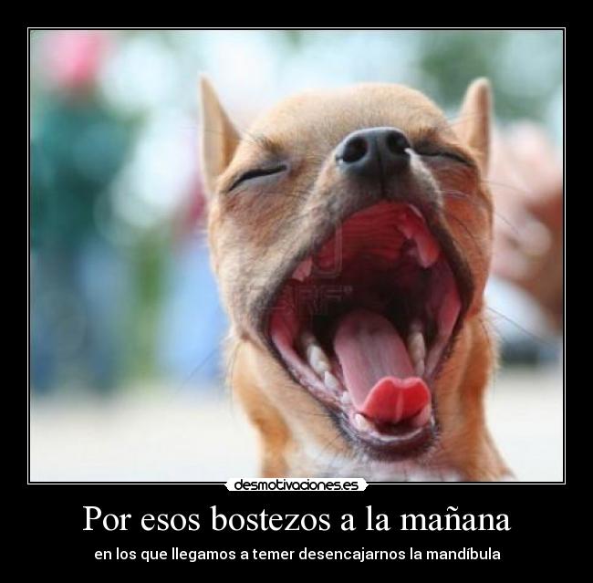 Por esos bostezos a la mañana -
