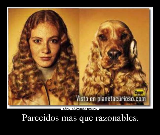 carteles fdg desmotivaciones