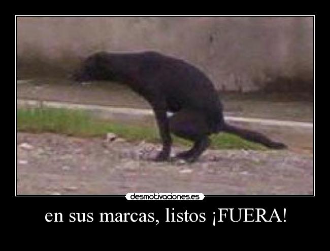 en sus marcas, listos ¡FUERA! -