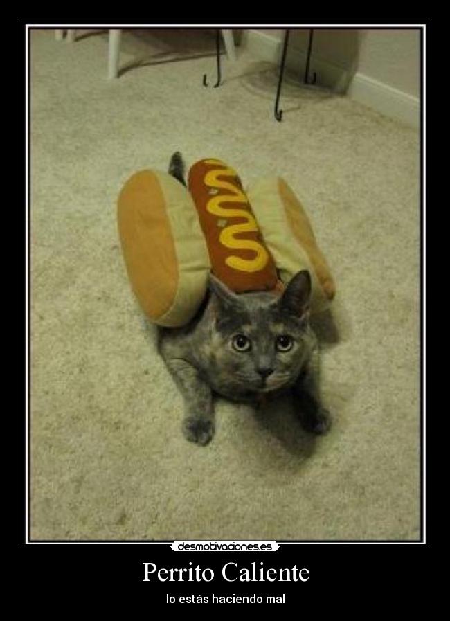 Perrito Caliente - lo estás haciendo mal
