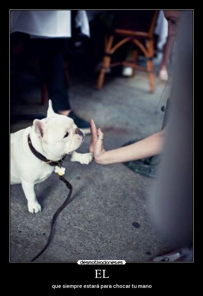 EL - que siempre estará para chocar tu mano