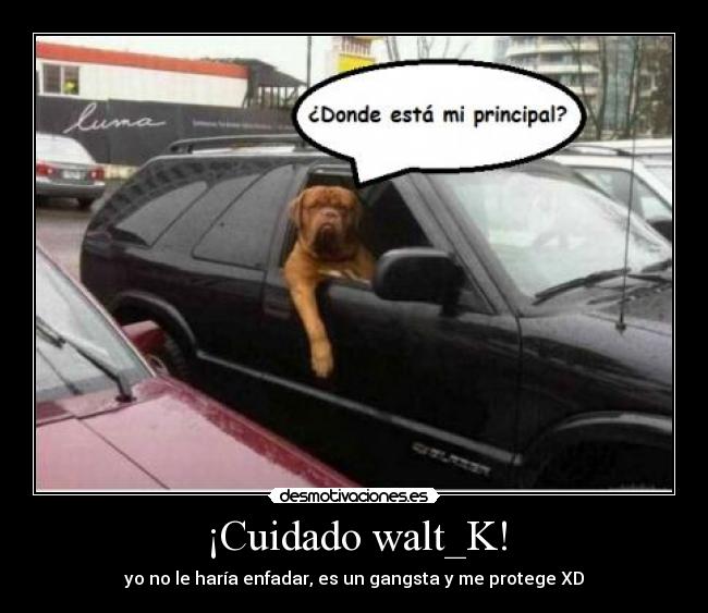 ¡Cuidado walt_K! - 