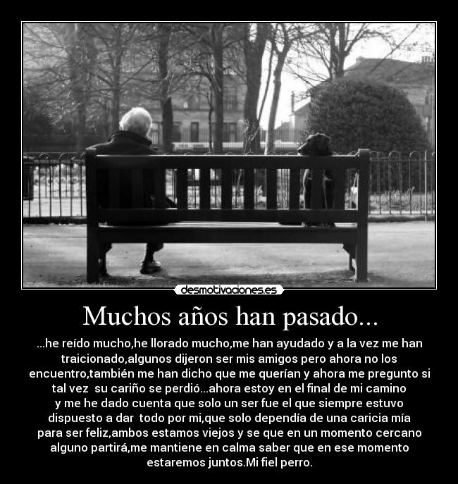 Muchos años han pasado... - ...he reído mucho,he llorado mucho,me han ayudado y a la vez me han
traicionado,algunos dijeron ser mis amigos pero ahora no los
encuentro,también me han dicho que me querían y ahora me pregunto si
tal vez  su cariño se perdió...ahora estoy en el final de mi camino
y me he dado cuenta que solo un ser fue el que siempre estuvo
dispuesto a dar  todo por mi,que solo dependía de una caricia mía
para ser feliz,ambos estamos viejos y se que en un momento cercano
alguno partirá,me mantiene en calma saber que en ese momento
estaremos juntos.Mi fiel perro.