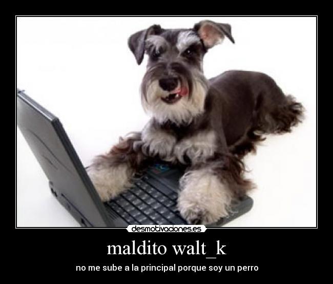 maldito walt_k - no me sube a la principal porque soy un perro