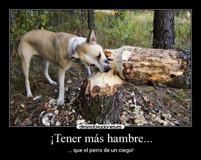 carteles perro ciego desmotivaciones