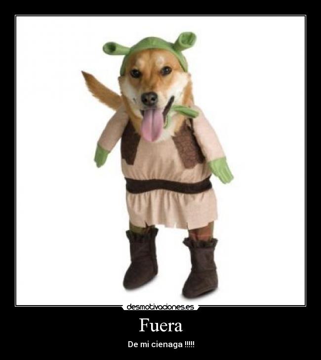 Fuera -