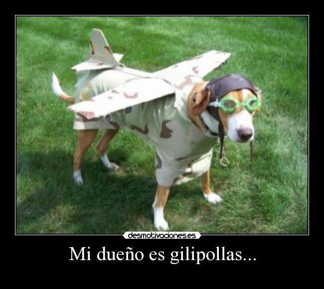 Mi dueño es gilipollas... -
