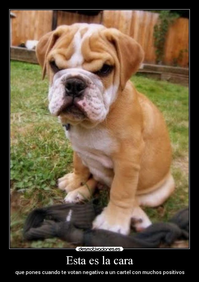 Esta es la cara -