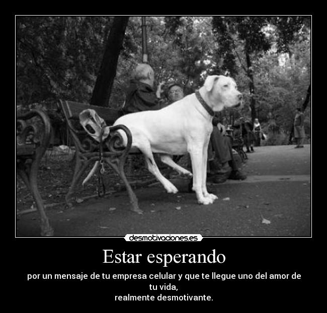 Estar esperando - 