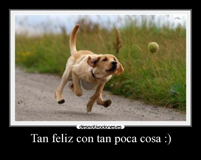 Tan feliz con tan poca cosa :) - 
