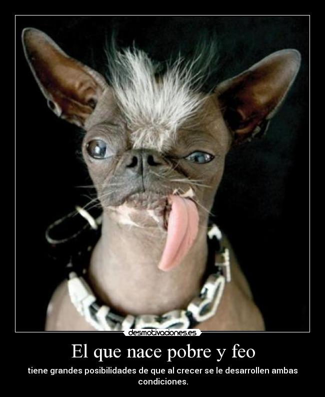 El que nace pobre y feo -