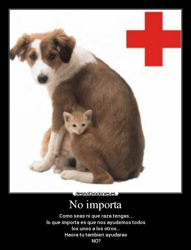 No importa - Como seas ni que raza tengas...
lo que importa es que nos ayudemos todos
los unos a los otros...
Haora tu tambien ayudaras
 NO?