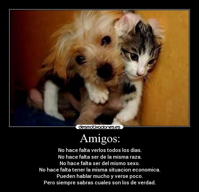 Amigos: - No hace falta verlos todos los dias.
No hace falta ser de la misma raza.
No hace falta ser del mismo sexo.
No hace falta tener la misma situacion economica.
Pueden hablar mucho y verse poco.
Pero siempre sabras cuales son los de verdad.