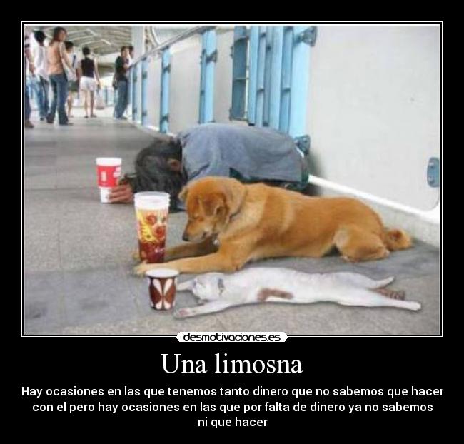 Una limosna - Hay ocasiones en las que tenemos tanto dinero que no sabemos que hacer
con el pero hay ocasiones en las que por falta de dinero ya no sabemos
ni que hacer