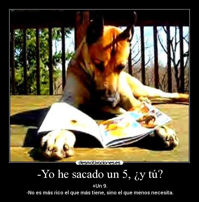 -Yo he sacado un 5, ¿y tú? - +Un 9.
-No es más rico el que más tiene, sino el que menos necesita.