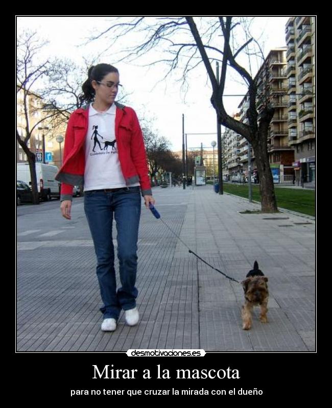 Mirar a la mascota - para no tener que cruzar la mirada con el dueño