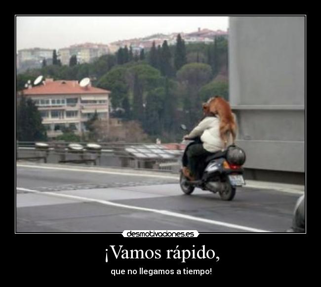 ¡Vamos rápido, - que no llegamos a tiempo!