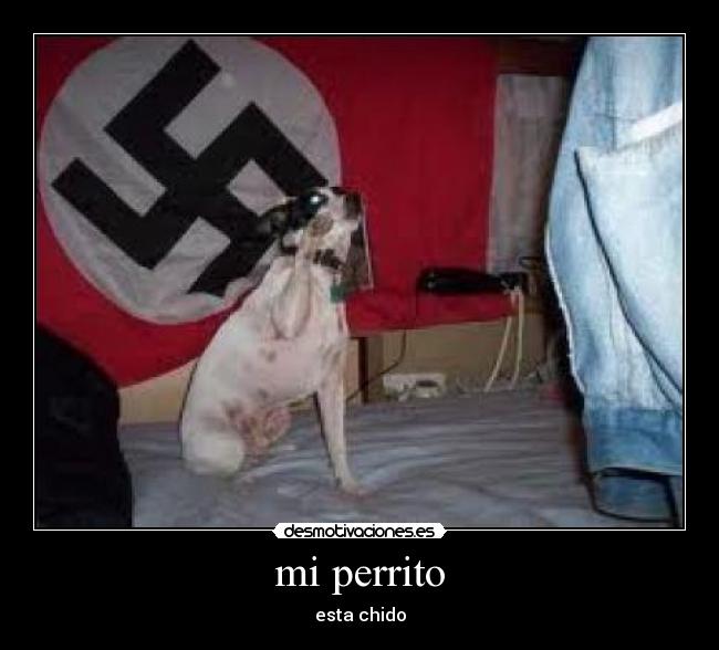 mi perrito -