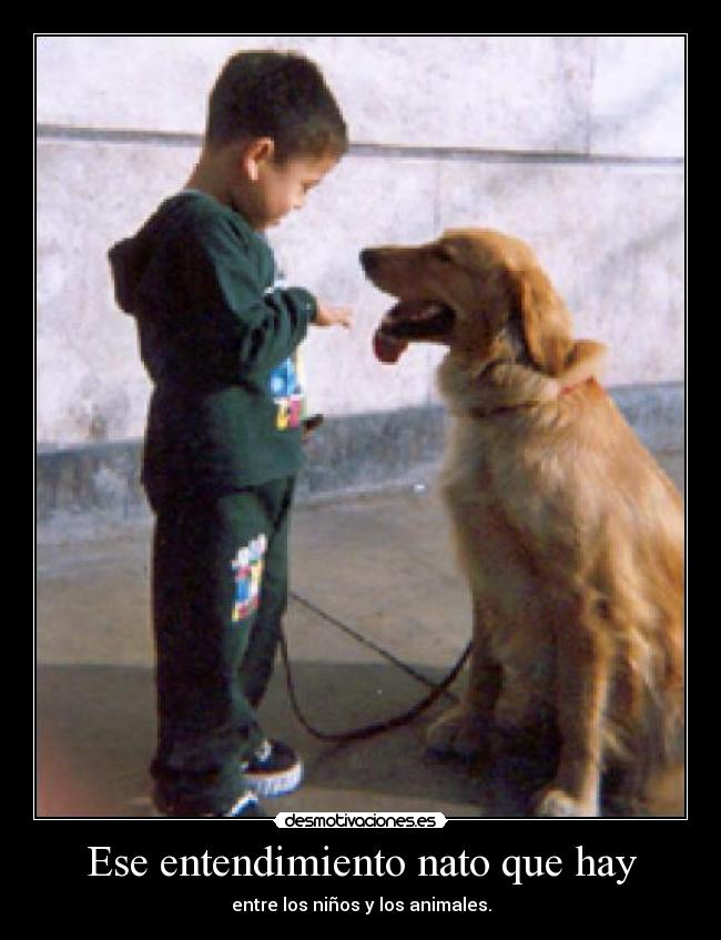 Ese entendimiento nato que hay - entre los niños y los animales.