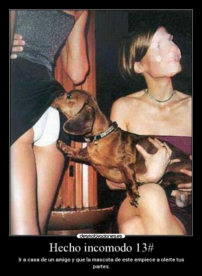 Hecho incomodo 13# - 