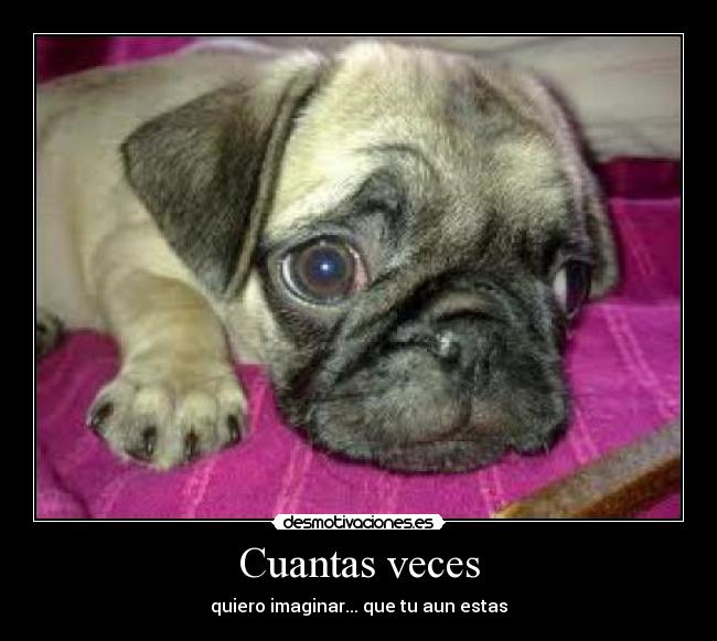 Cuantas veces -