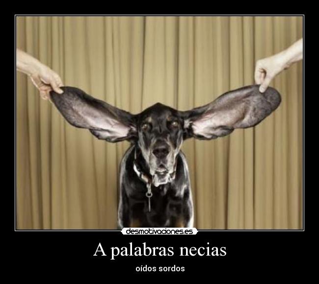 A palabras necias - oídos sordos