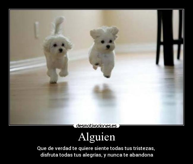 Alguien - 