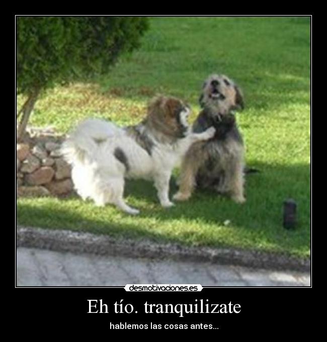 Eh tío. tranquilizate - hablemos las cosas antes...