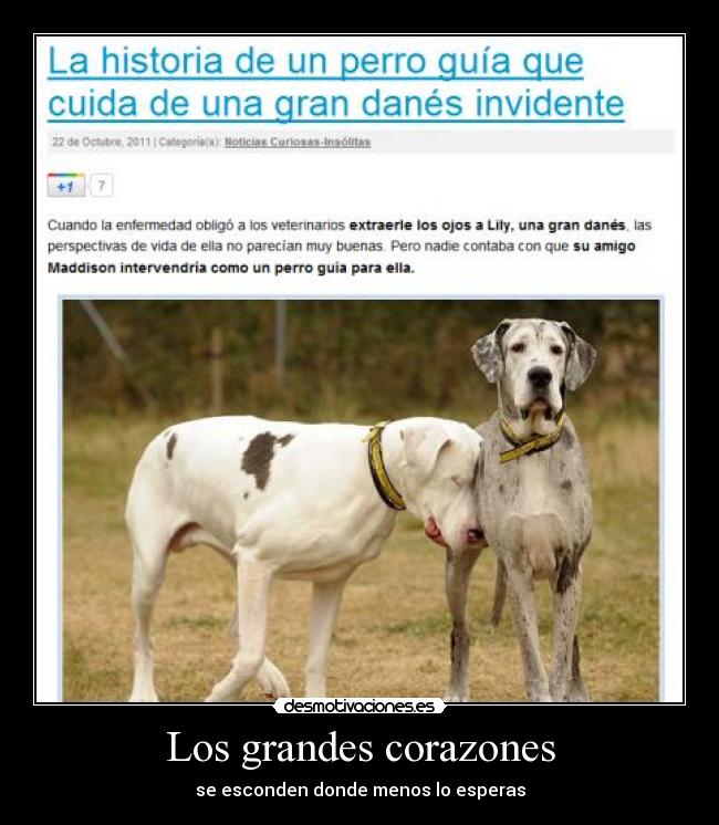Los grandes corazones - 