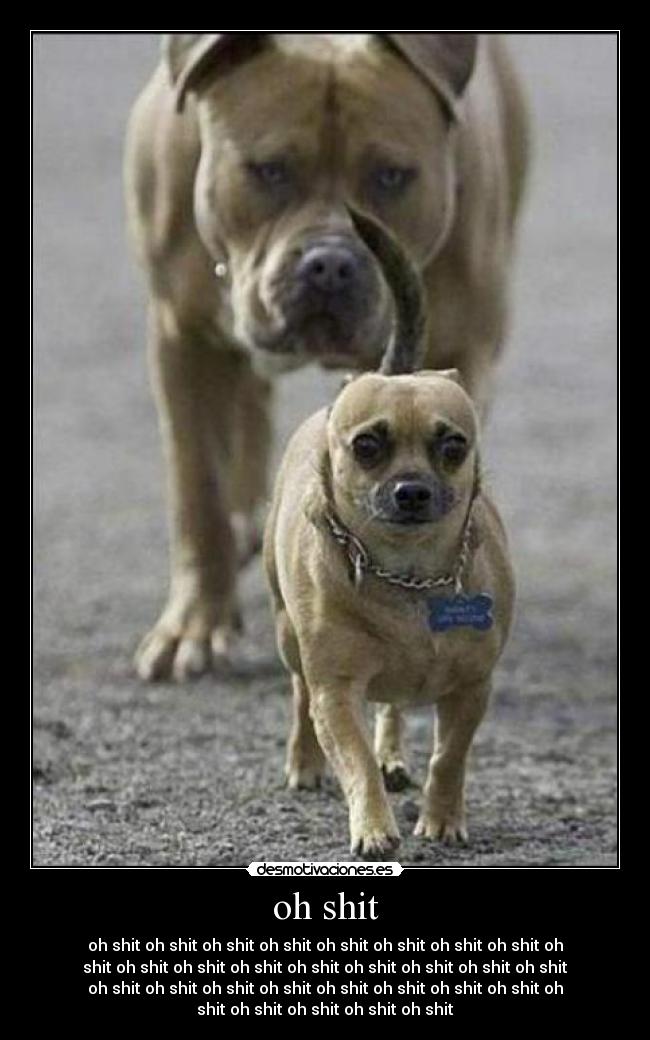 oh shit - oh shit oh shit oh shit oh shit oh shit oh shit oh shit oh shit oh
shit oh shit oh shit oh shit oh shit oh shit oh shit oh shit oh shit
oh shit oh shit oh shit oh shit oh shit oh shit oh shit oh shit oh
shit oh shit oh shit oh shit oh shit