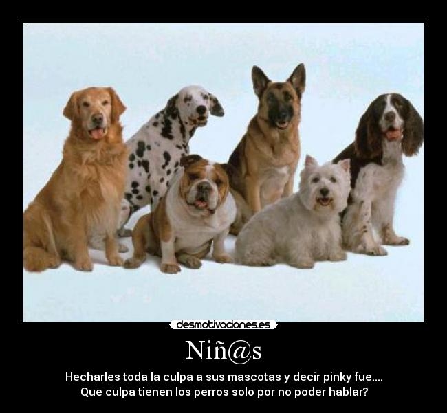 Niñ@s - Hecharles toda la culpa a sus mascotas y decir pinky fue....
Que culpa tienen los perros solo por no poder hablar?