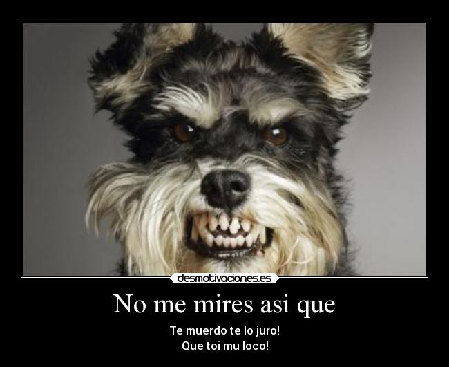 No me mires asi que - Te muerdo te lo juro!
Que toi mu loco!