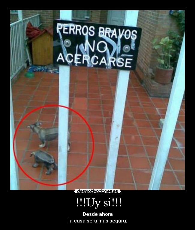 !!!Uy si!!! - Desde ahora
la casa sera mas segura.