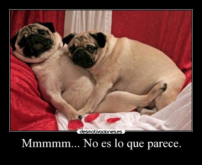 Mmmmm... No es lo que parece. - 