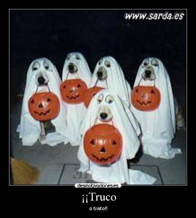 ¡¡Truco - o trato!!