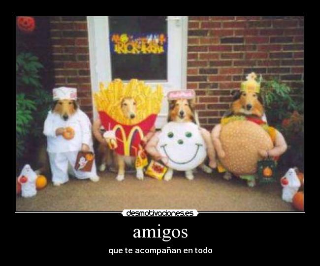 amigos - que te acompañan en todo